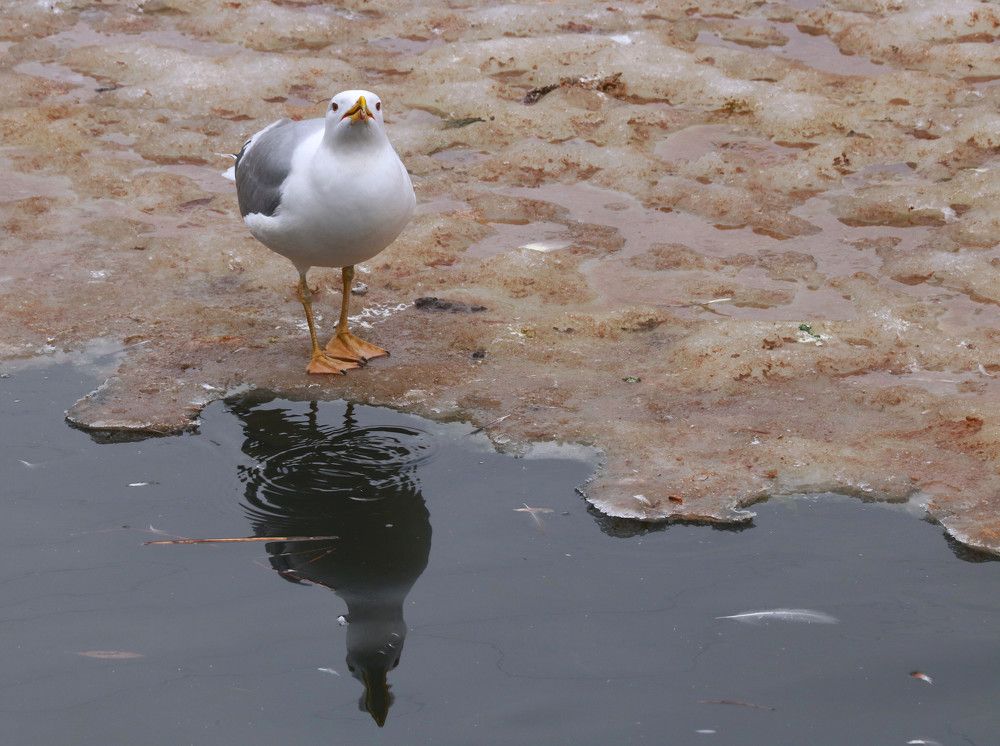 Photograph by Гагик Саркисян