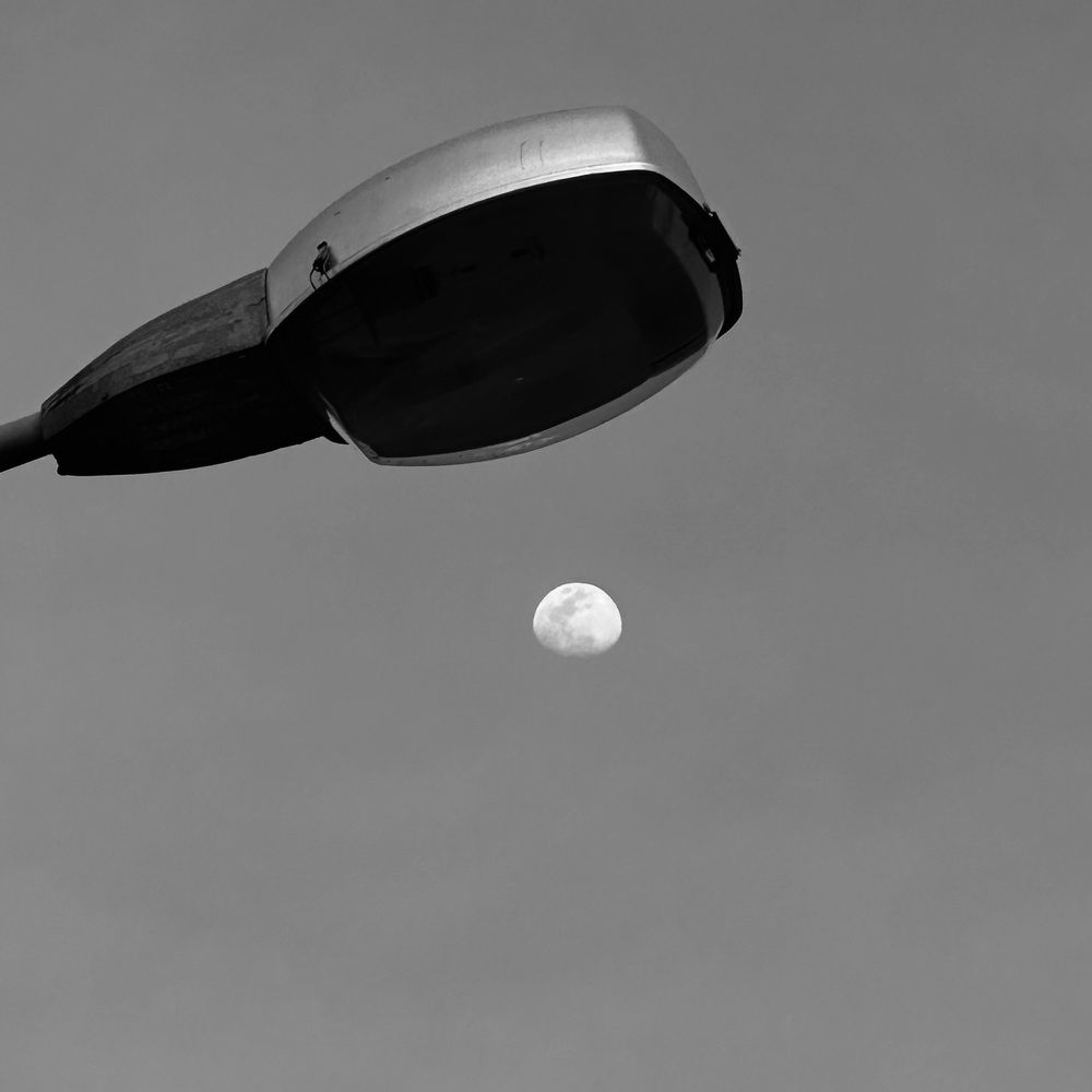 Photograph by Mikhail Smirnov