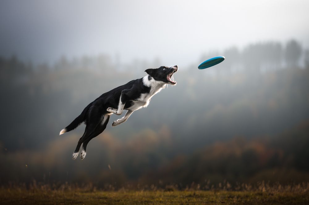 Photograph by Izabela Lyson