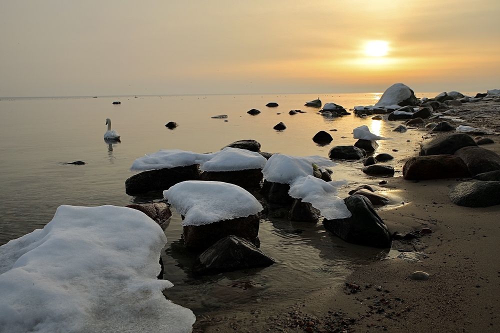 Photograph by Одаренко Ольга