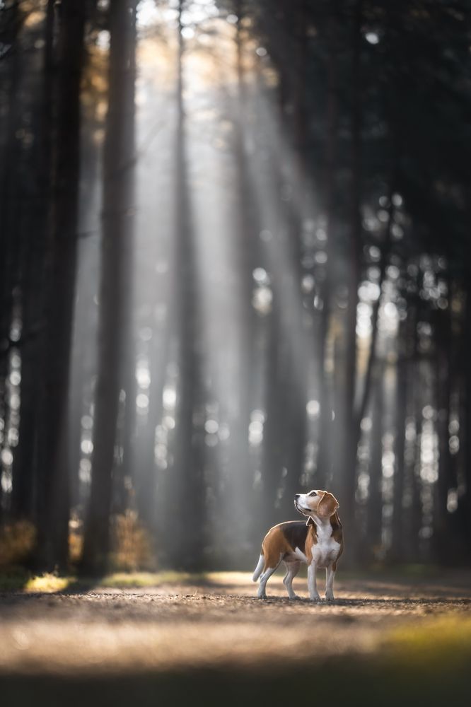 Photograph by Izabela Lyson