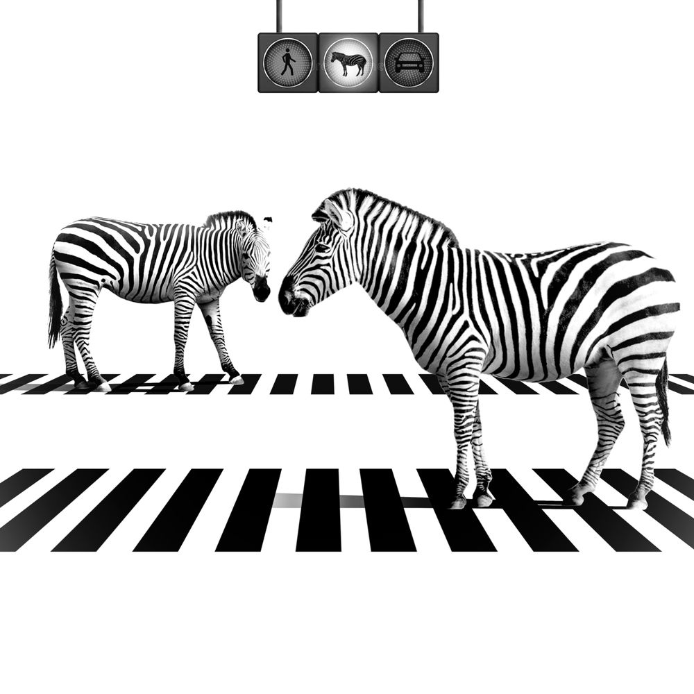 Photograph by  SaidArt