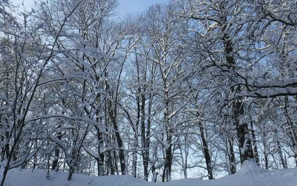 Photograph by Елена Сухорученкова