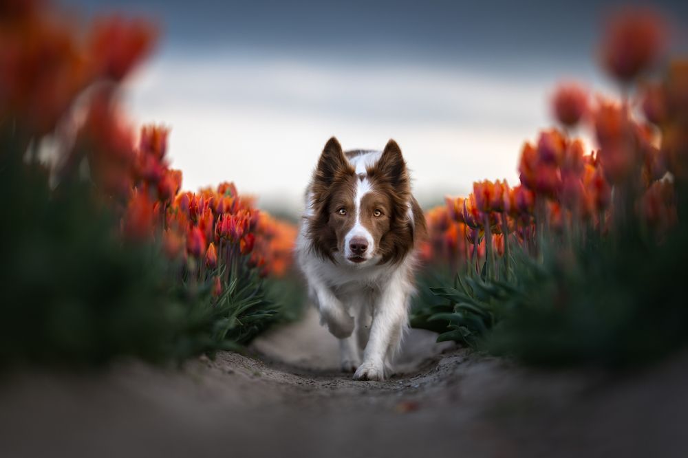 Photograph by Izabela Lyson