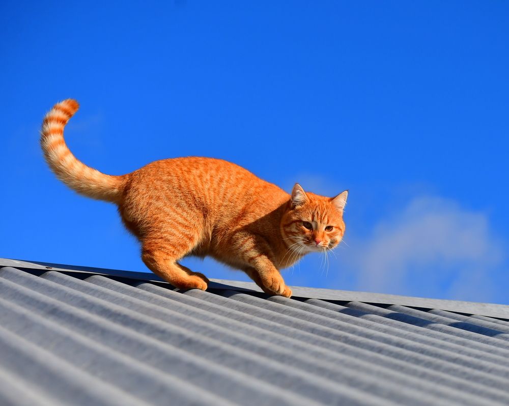 Photograph by Николай Абакумов