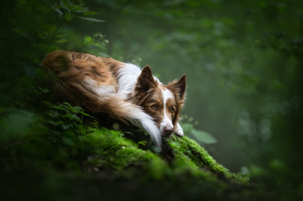 Photograph by Izabela Lyson