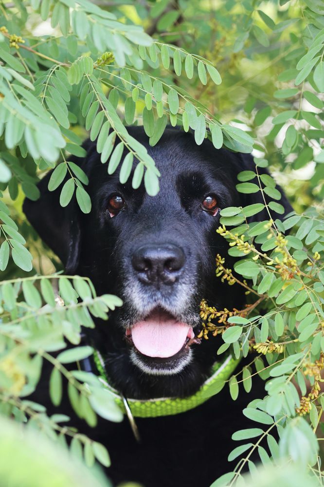 Фотография автора Елена