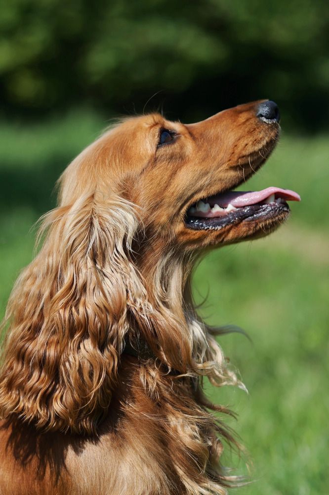 Фотография автора Елена