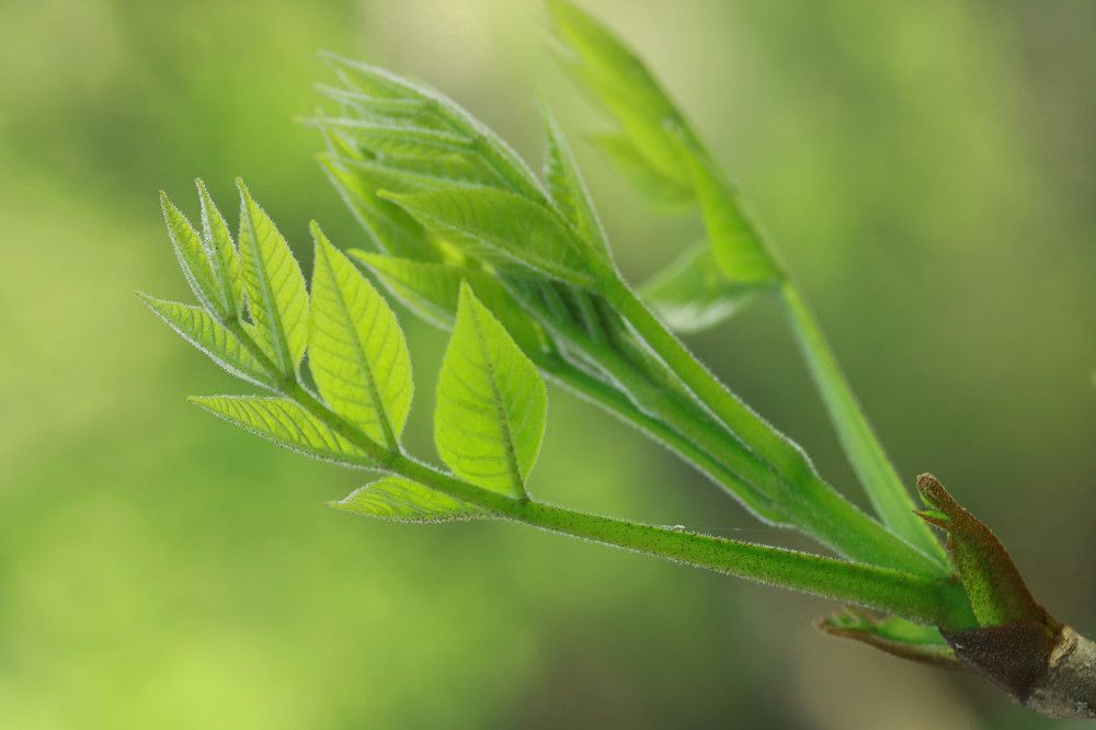 Photograph by Гагик Саркисян