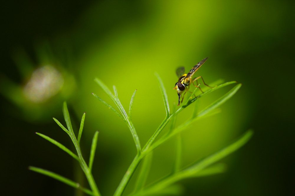 Photograph by Гагик Саркисян