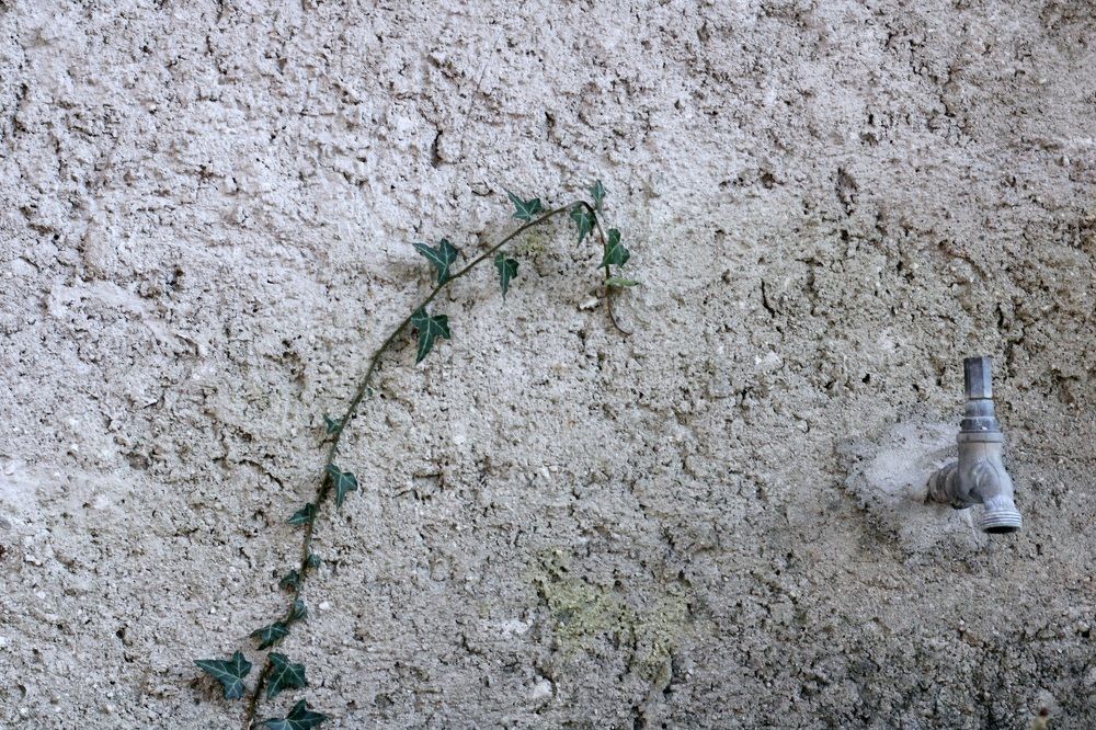 Photograph by Sonia Crotta