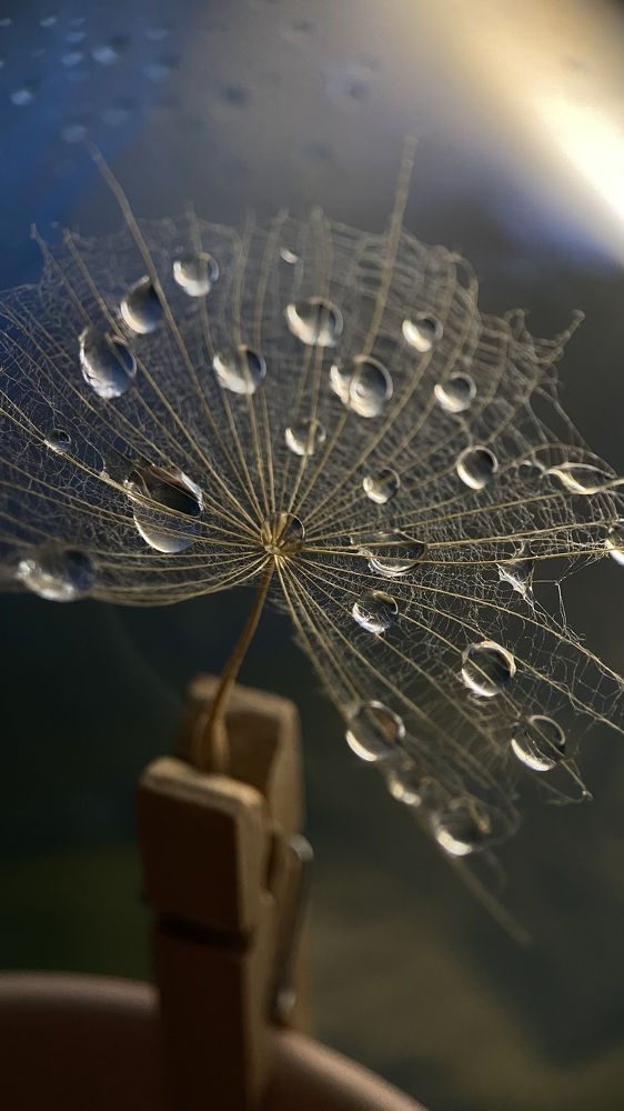 Photograph by Анна Бобкова