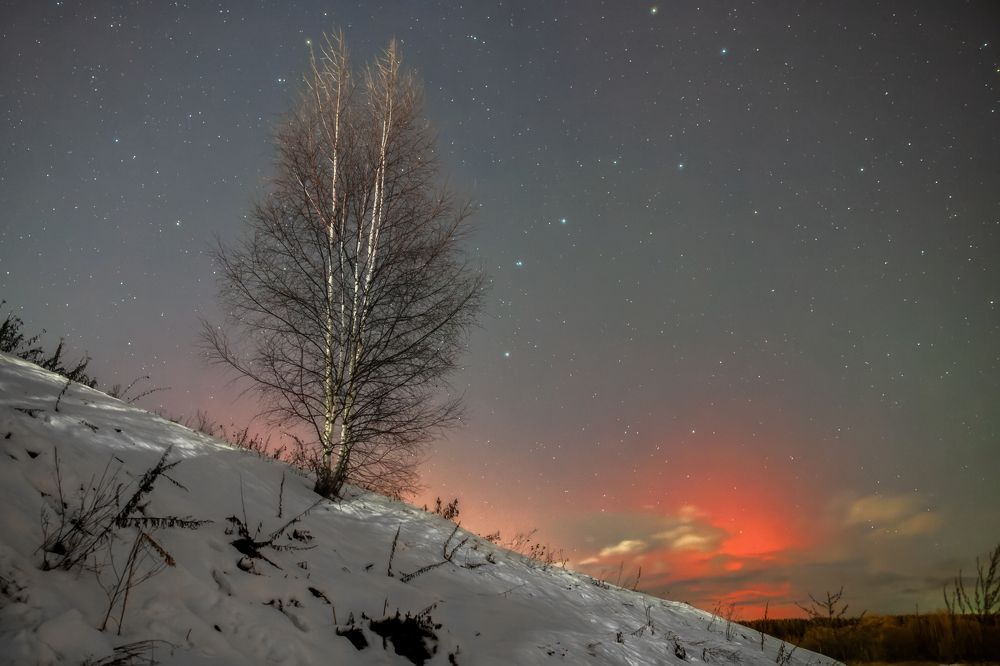 Photograph by Владимир Портуаров