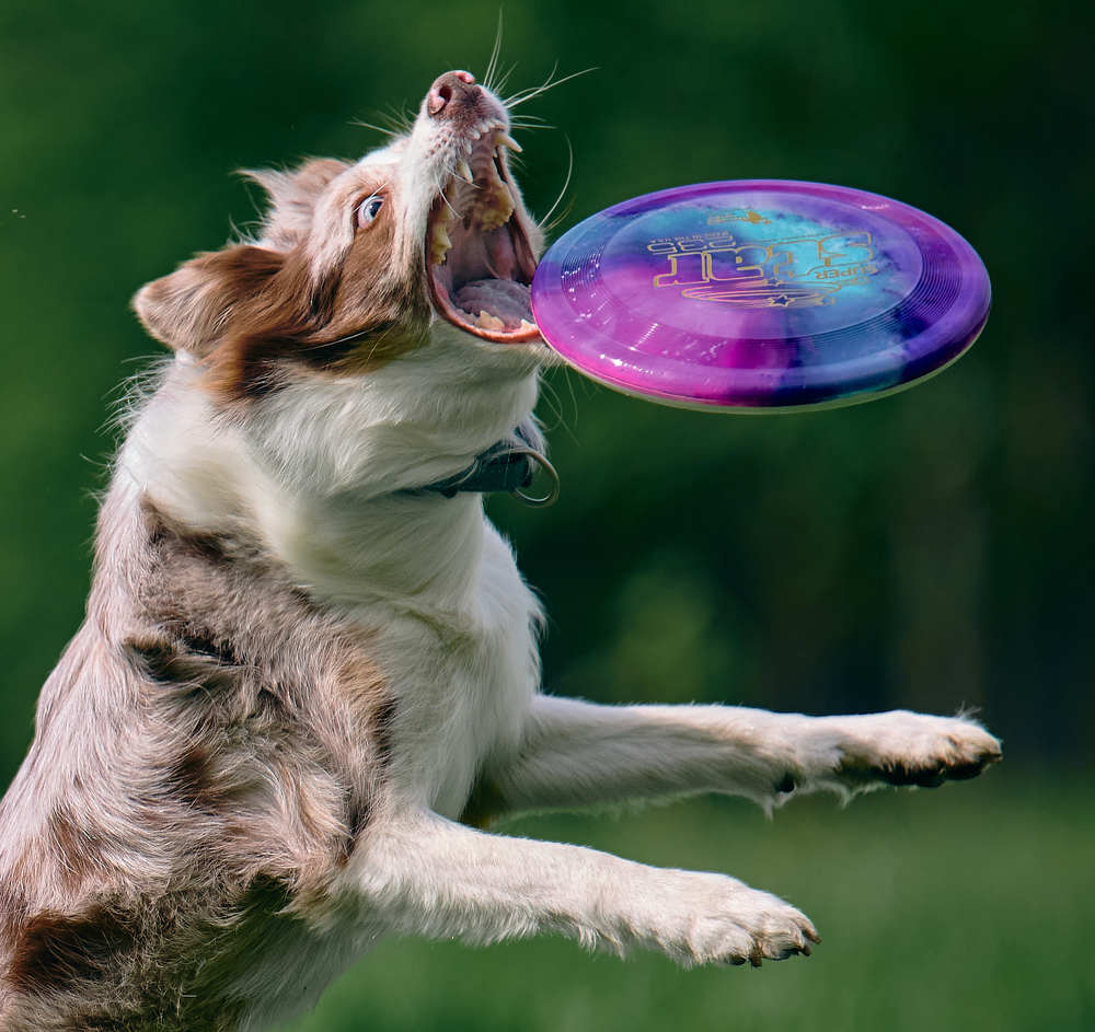 Photograph by Mikhail Khmelevskiy