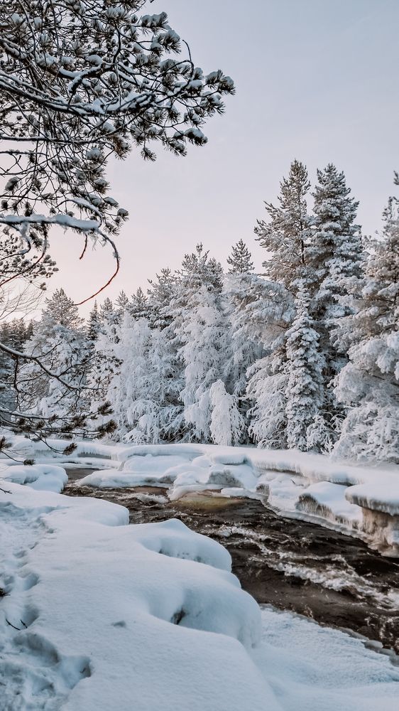 Photograph by Екатерина Михеева