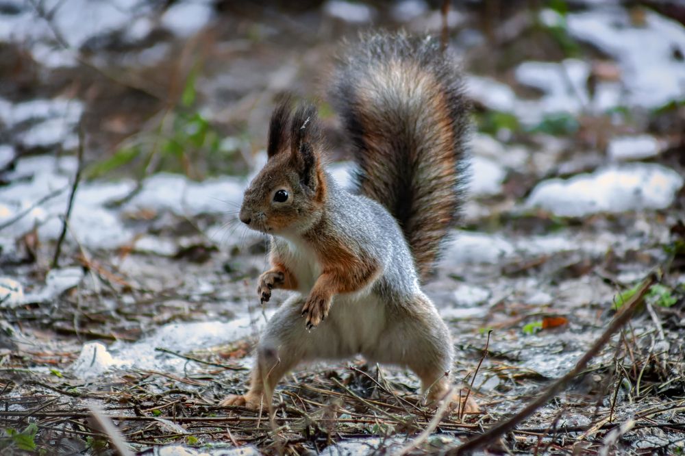 Photograph by Владимир Портуаров
