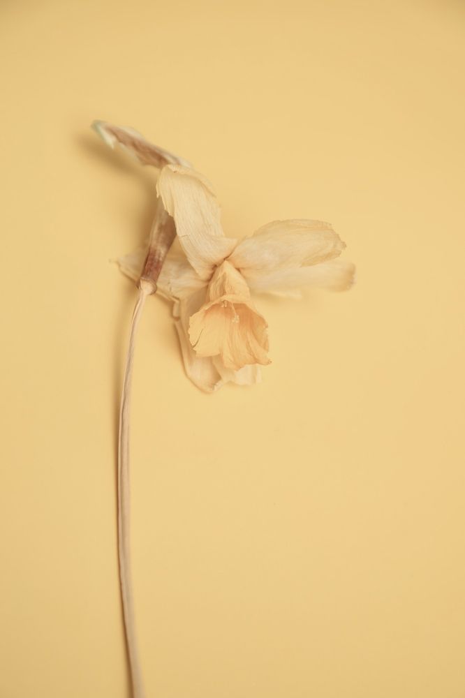 Photograph by Рина Серёгина