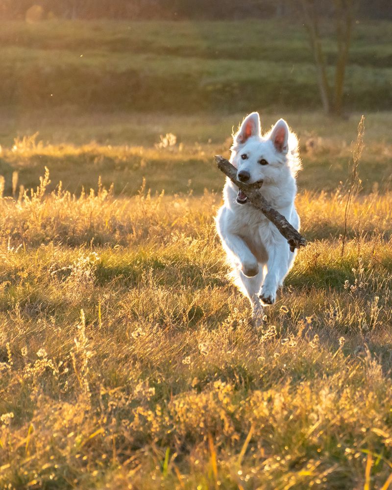 Photograph by Anton Leonchikov