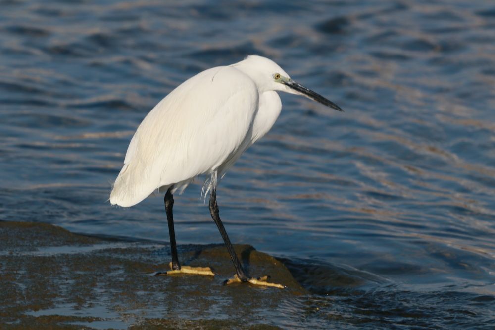 Photograph by Владислав Воровский