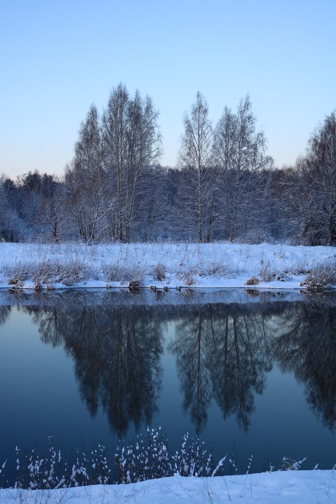 Photograph by Светлана Шуткова