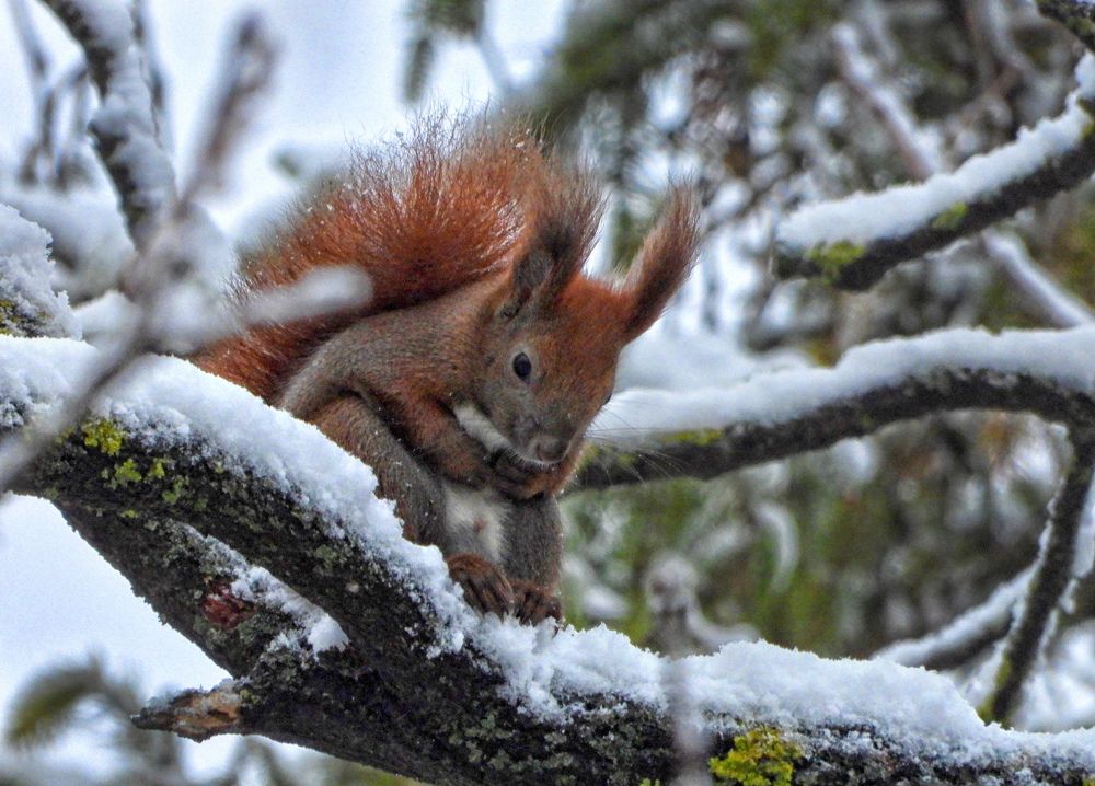 Photograph by Александр Захаров