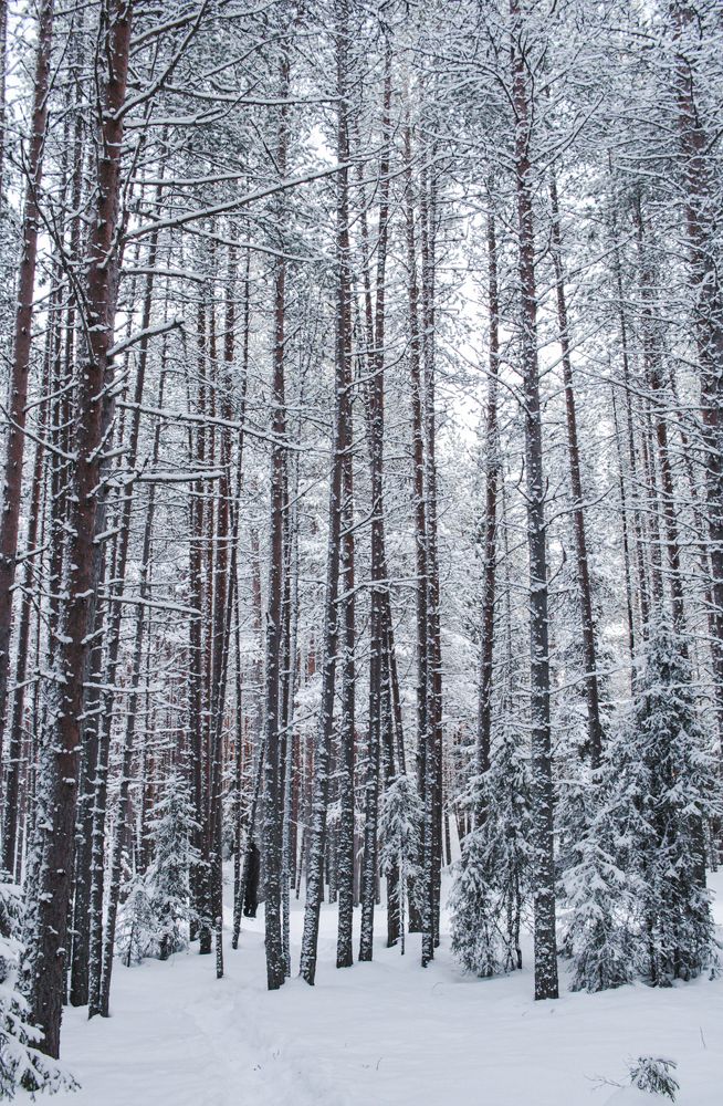 Photograph by Екатерина Михеева