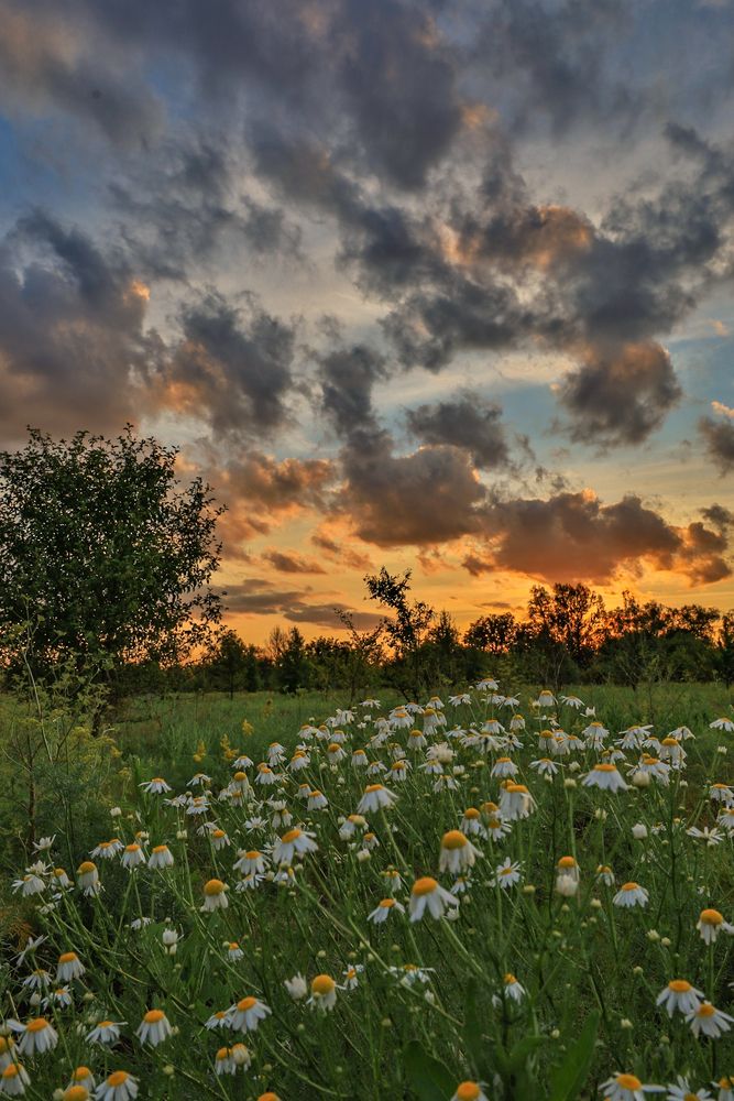 Photograph by Сергей Конюшенко