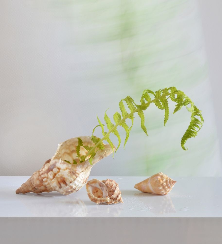 Photograph by Дина Полухина