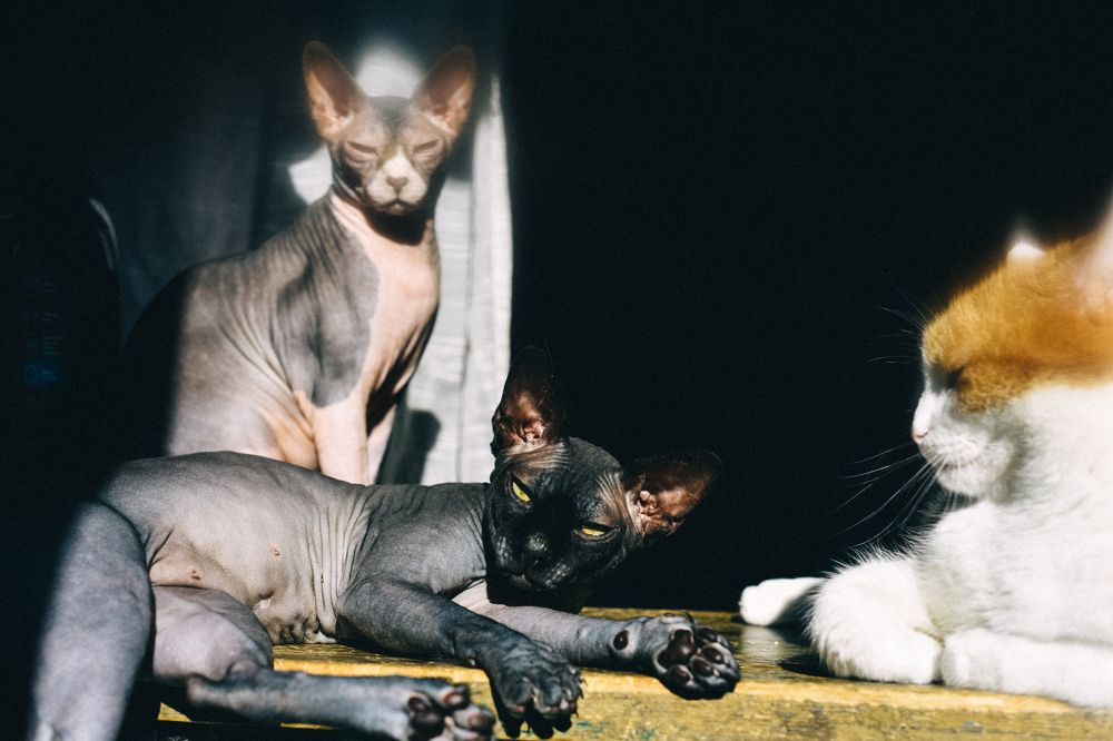 Photograph by Мария Негреева