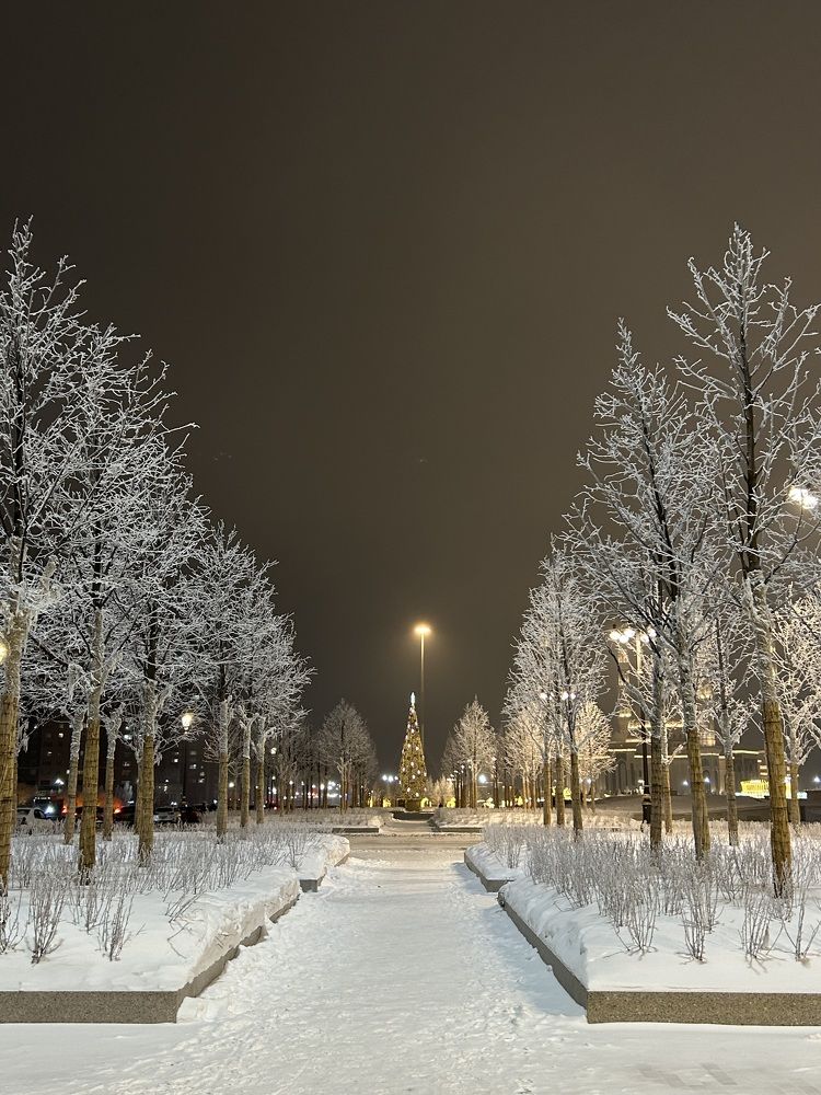 Photograph by Амирова Анар