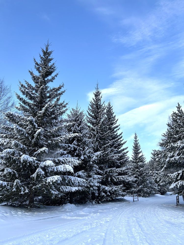 Photograph by Амирова Анар