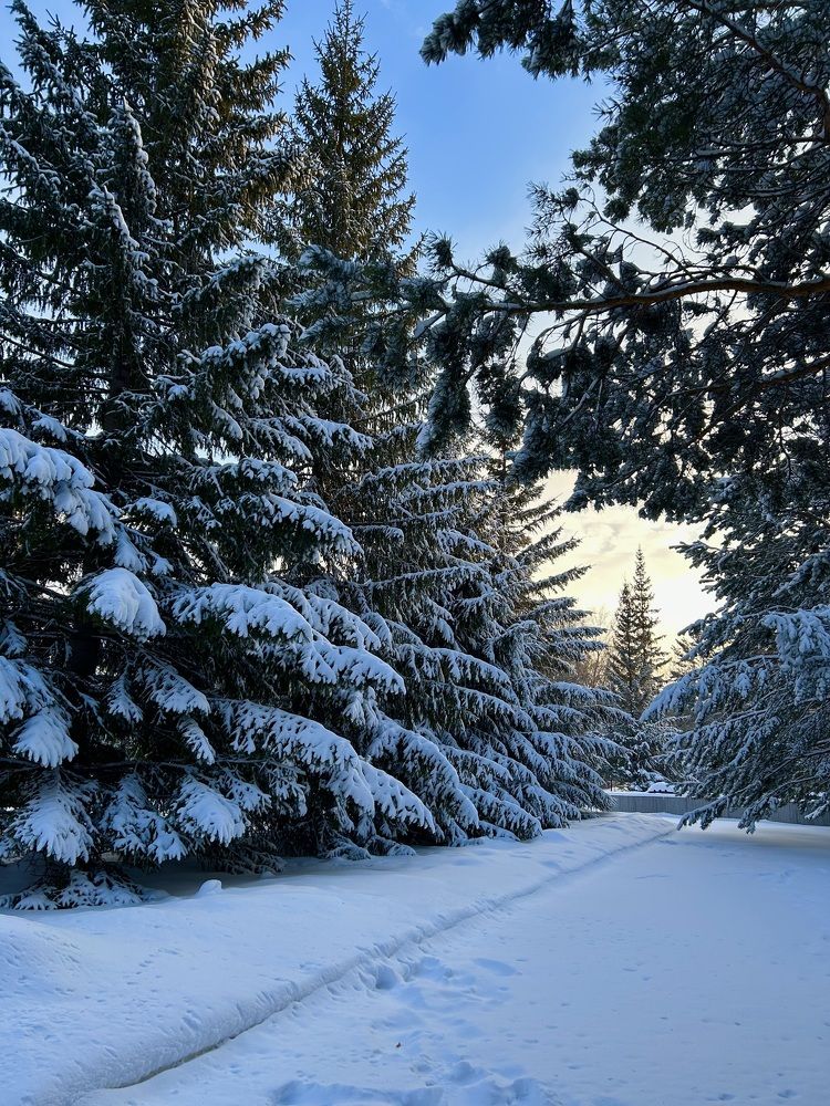 Photograph by Амирова Анар