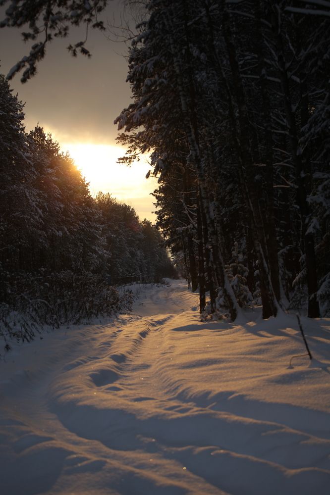 Photograph by Екатерина Колот