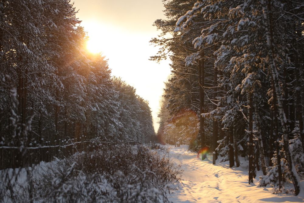 Photograph by Екатерина Колот