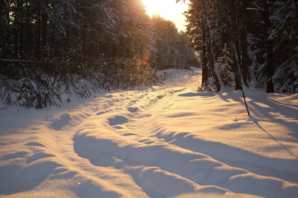 Photograph by Екатерина Колот