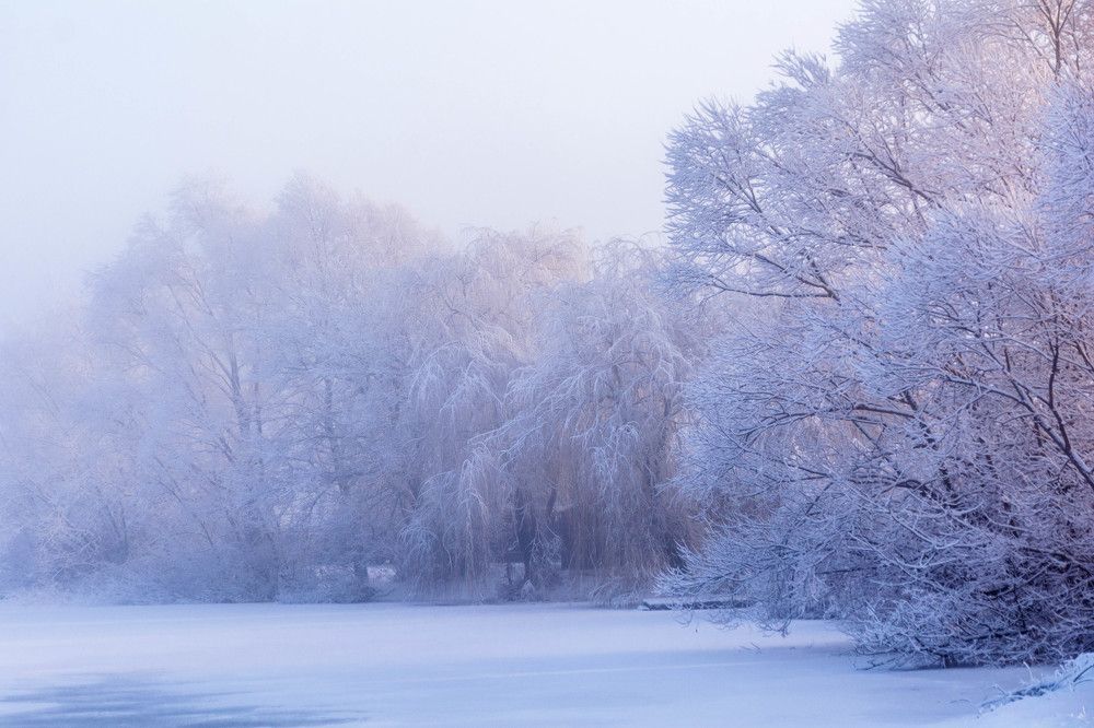 Photograph by Людмила Прибылова