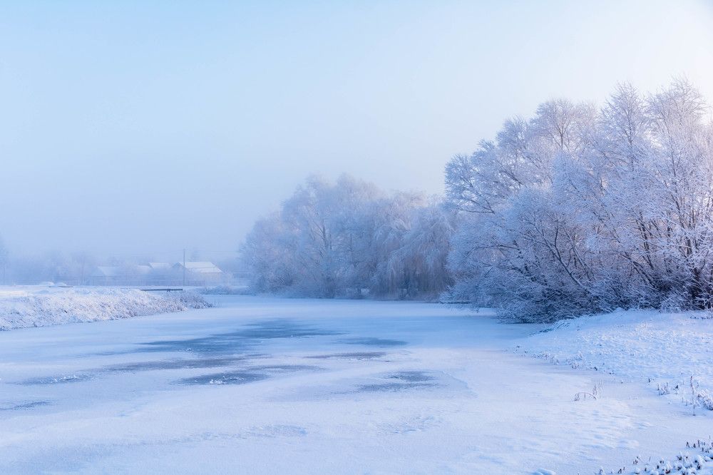 Photograph by Людмила Прибылова