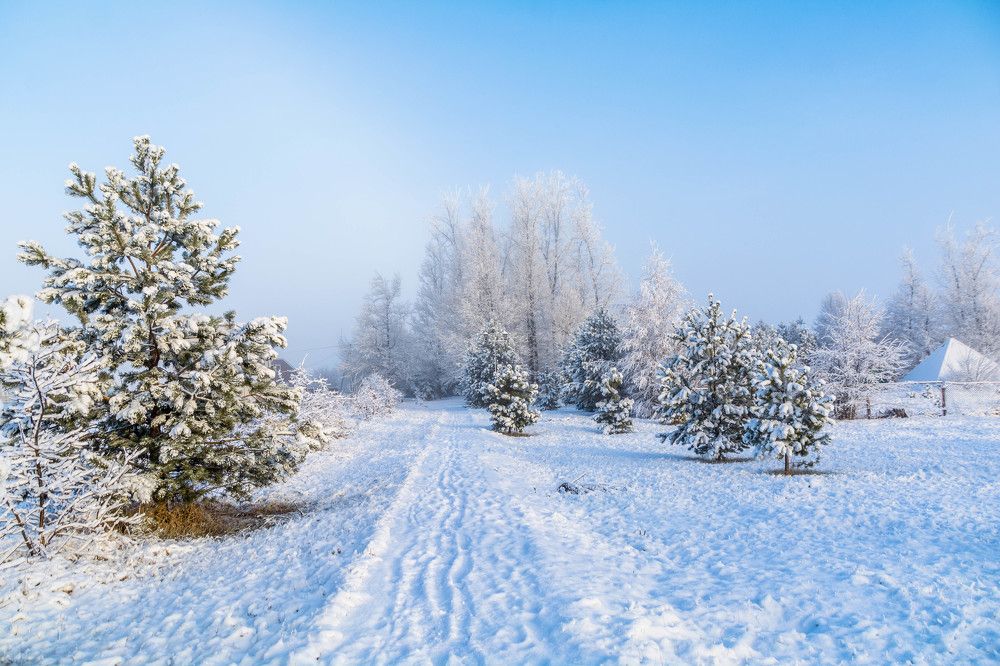 Photograph by Людмила Прибылова