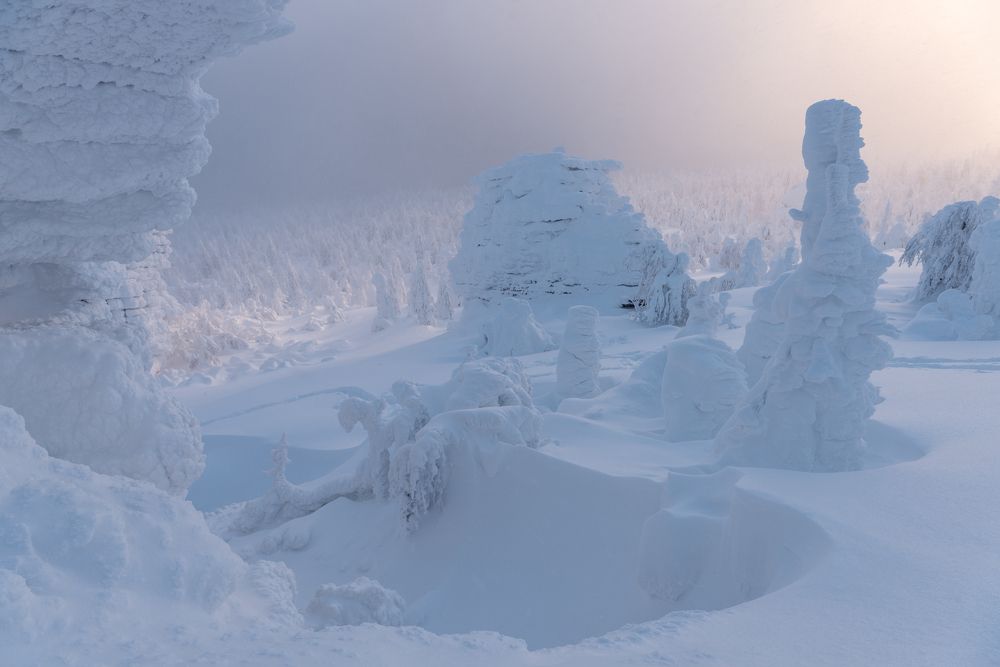 Photograph by Крицак Ольга