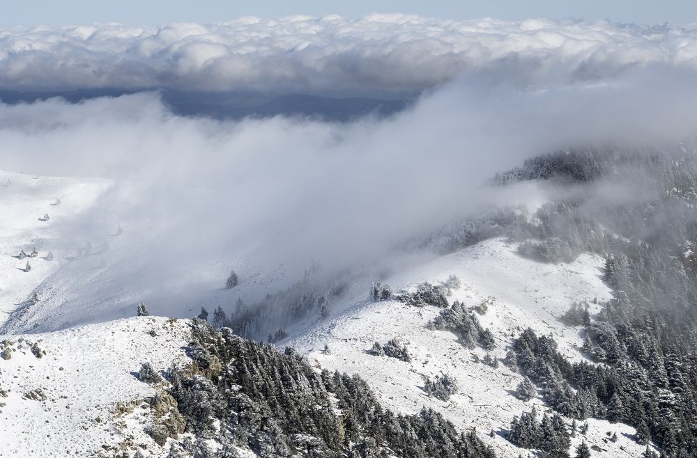 Photograph by Mohamed Haddad