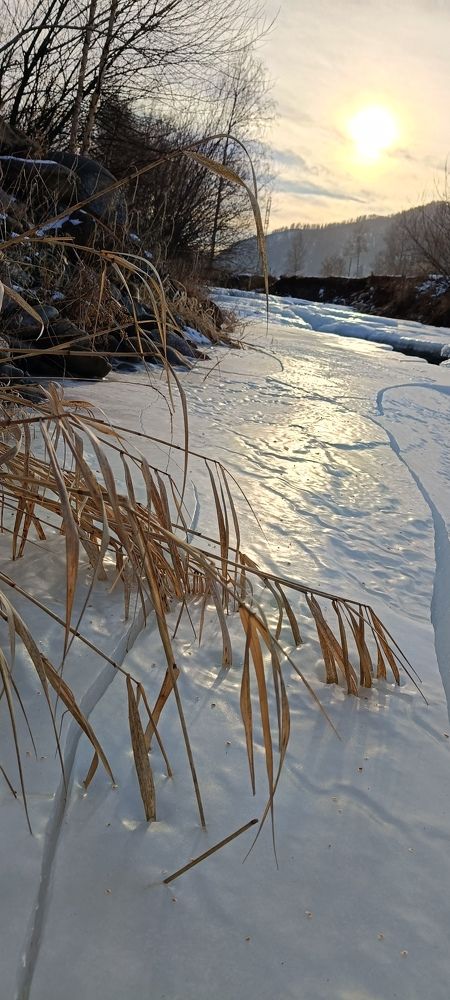 Photograph by СТЕПАН ДЖУЛАКИДЗЕ