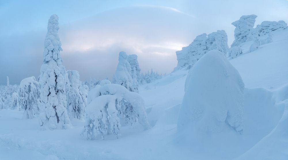 Photograph by Крицак Ольга