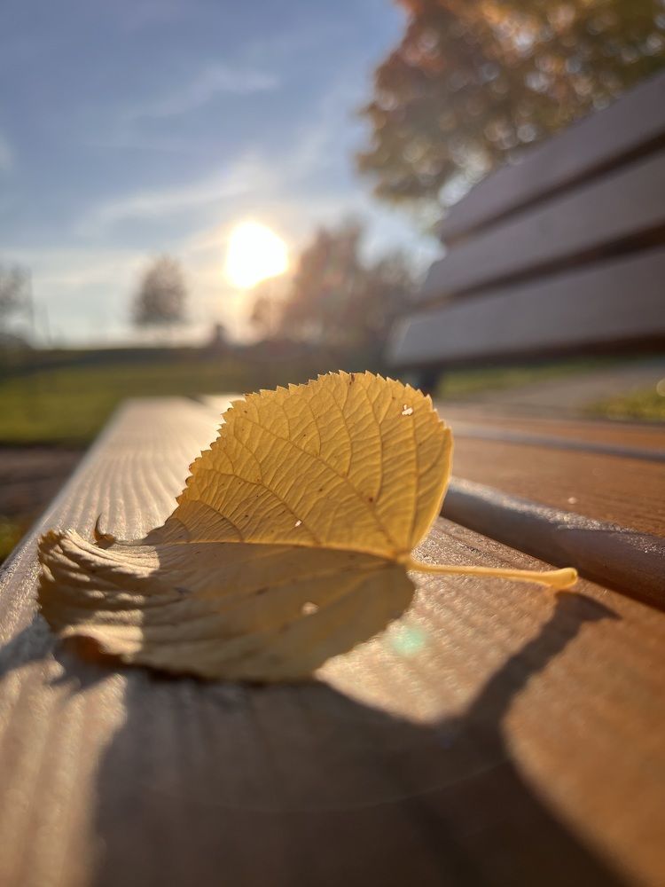 Photograph by Елена Лагойская