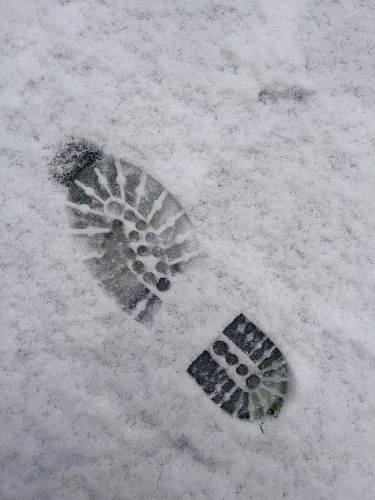 Photograph by Елена Лагойская