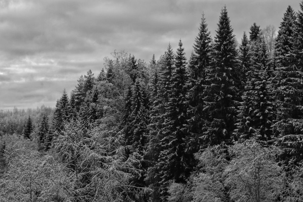 Photograph by Давыдов Николай