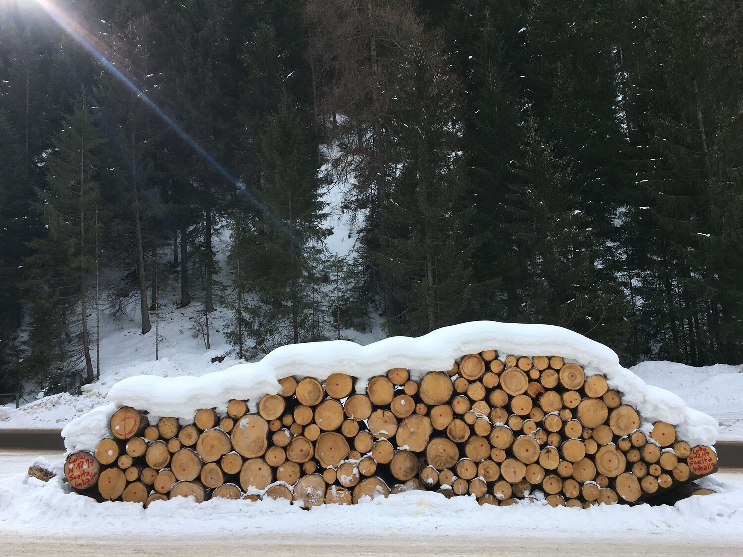 Photo #11677976