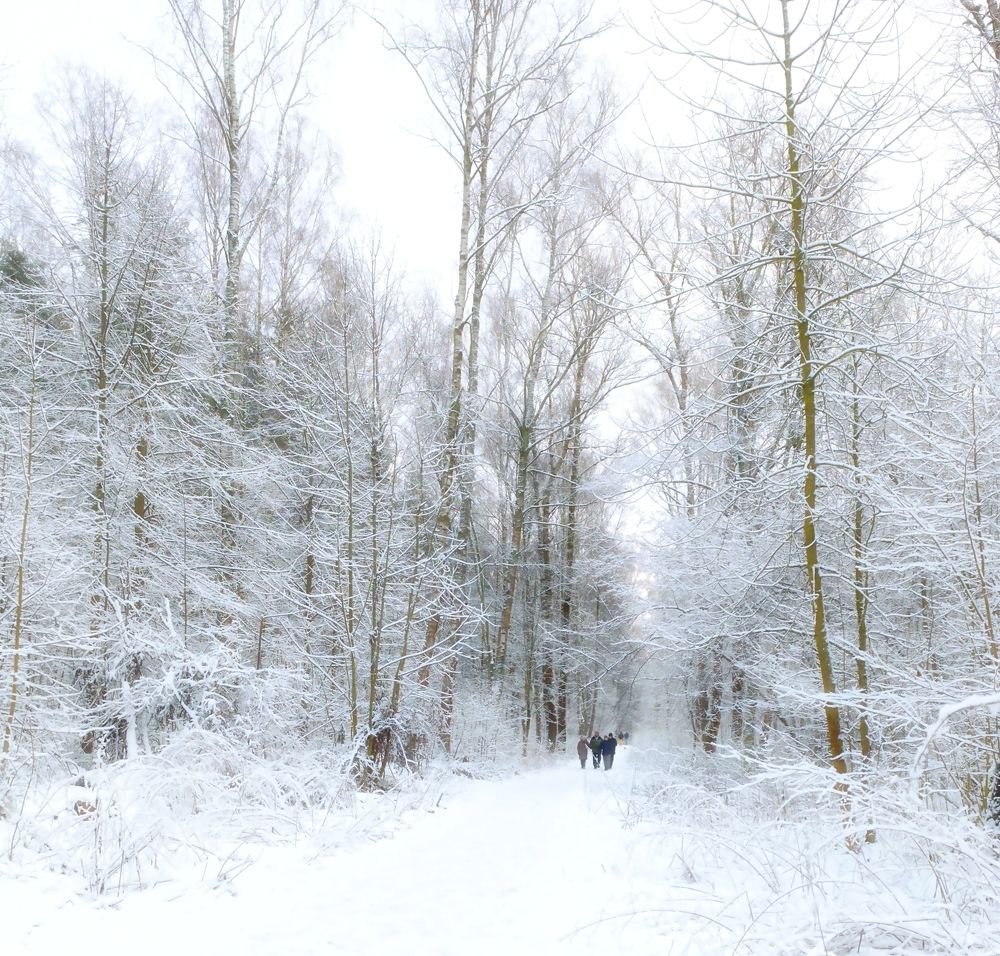 Photograph by Мария Тафеенко