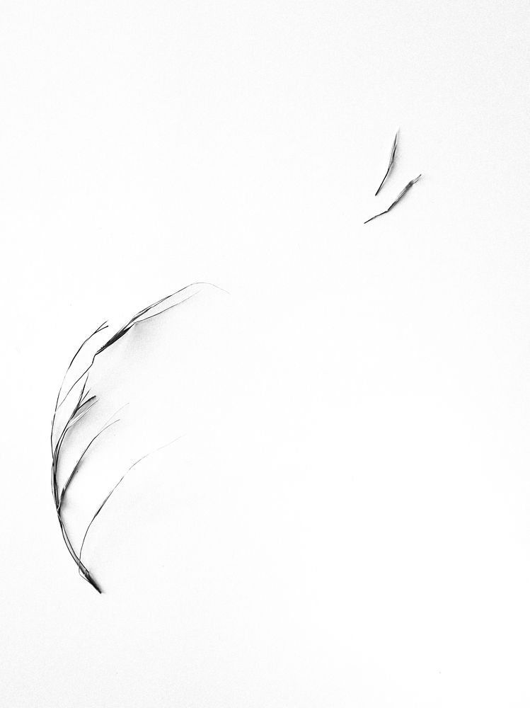 Photograph by Tatiana Aleksandrova