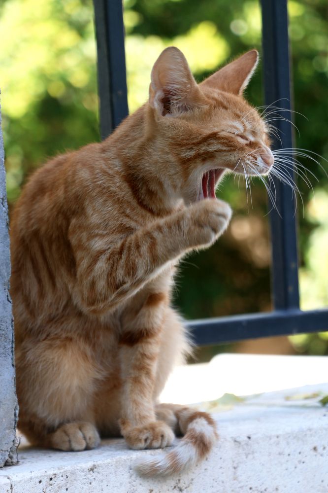 Photograph by Галина Фурсова