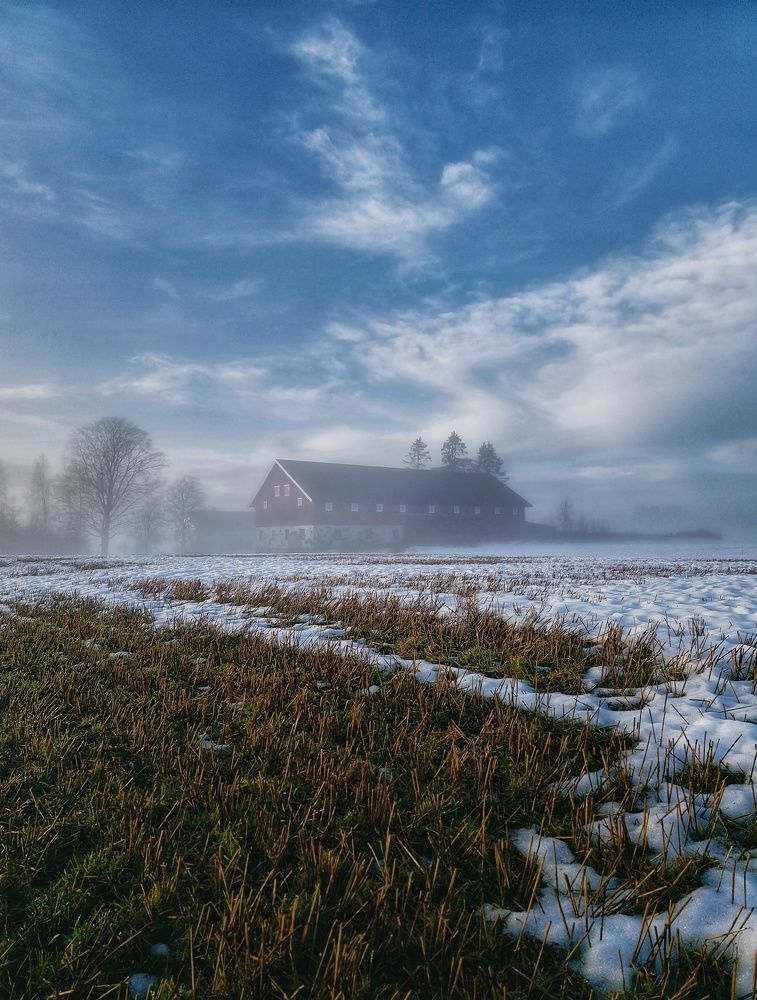 Фотография автора Alina Filimonova